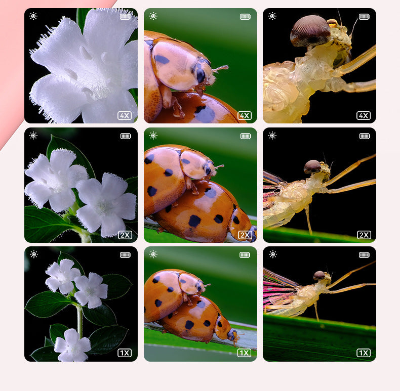 8e1b65d9-0a0b-4543-861f-986b418ec558